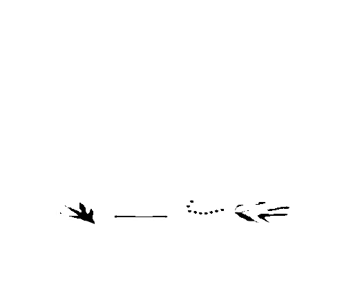 logo-prix-versailles-blanco